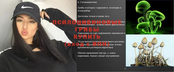 синтетический гашиш Бородино