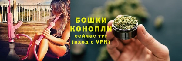PSILOCYBIN Бугульма