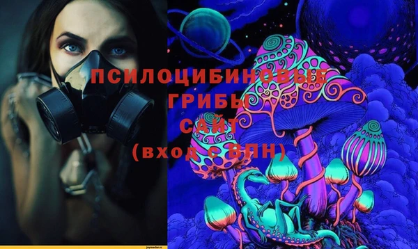 МДМА Белокуриха