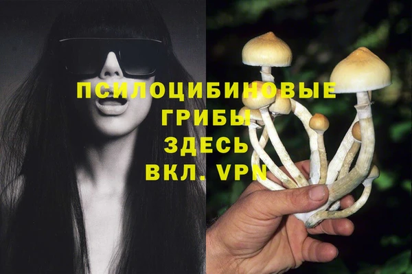 синтетический гашиш Бородино