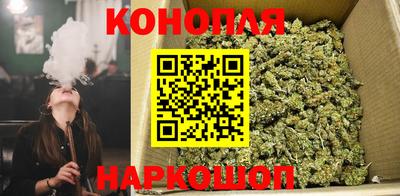 тгк Кунгур