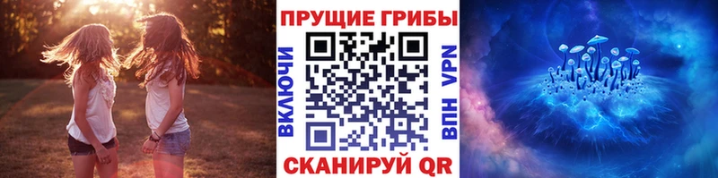 darknet официальный сайт что такое наркотик Горячий Ключ Галлюциногенные грибы Cubensis