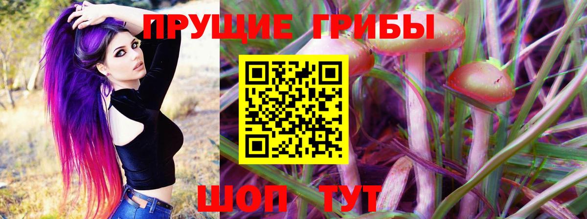 Псилоцибиновые грибы прущие грибы  Псилоцибиновые грибы Cubensis  Вход с VPN  Горячий Ключ 